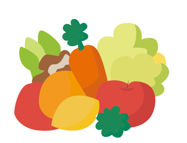 食物繊維の働き