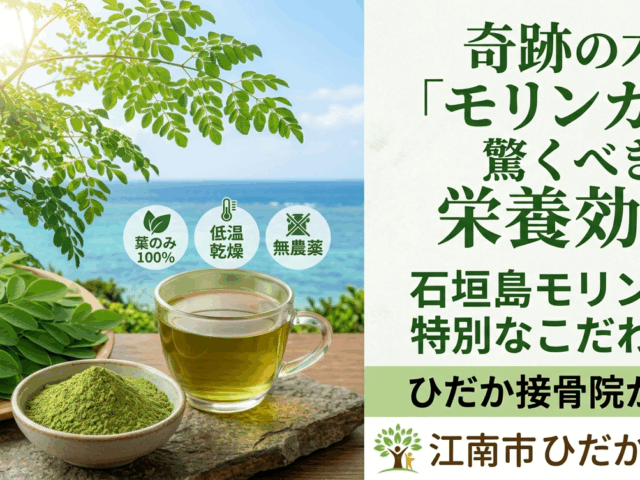 奇跡の木「モリンガ」の驚くべき栄養効果とは？石垣島モリンガの特別なこだわりをひだか接骨院が解説！